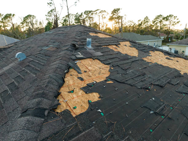 Best Gutter Installation and Repair  in Wind Gap, PA