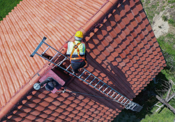 Best Roof Moss and Algae Removal  in Wind Gap, PA